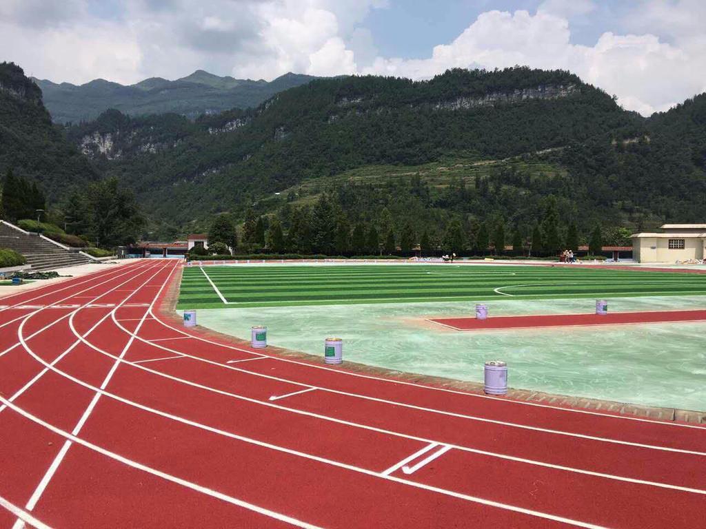 五指山人造草坪足球场